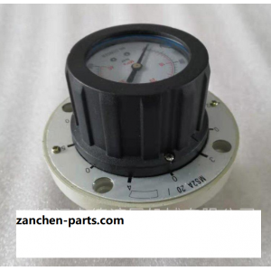 MS2A20/40/2, MS2A20/60/2, MS2A20/100/2 Fleet six-point pressure gauge switch